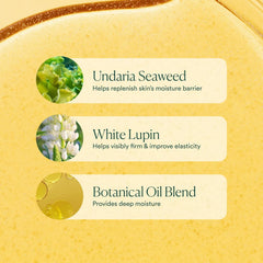Undaria Alga Body Oil