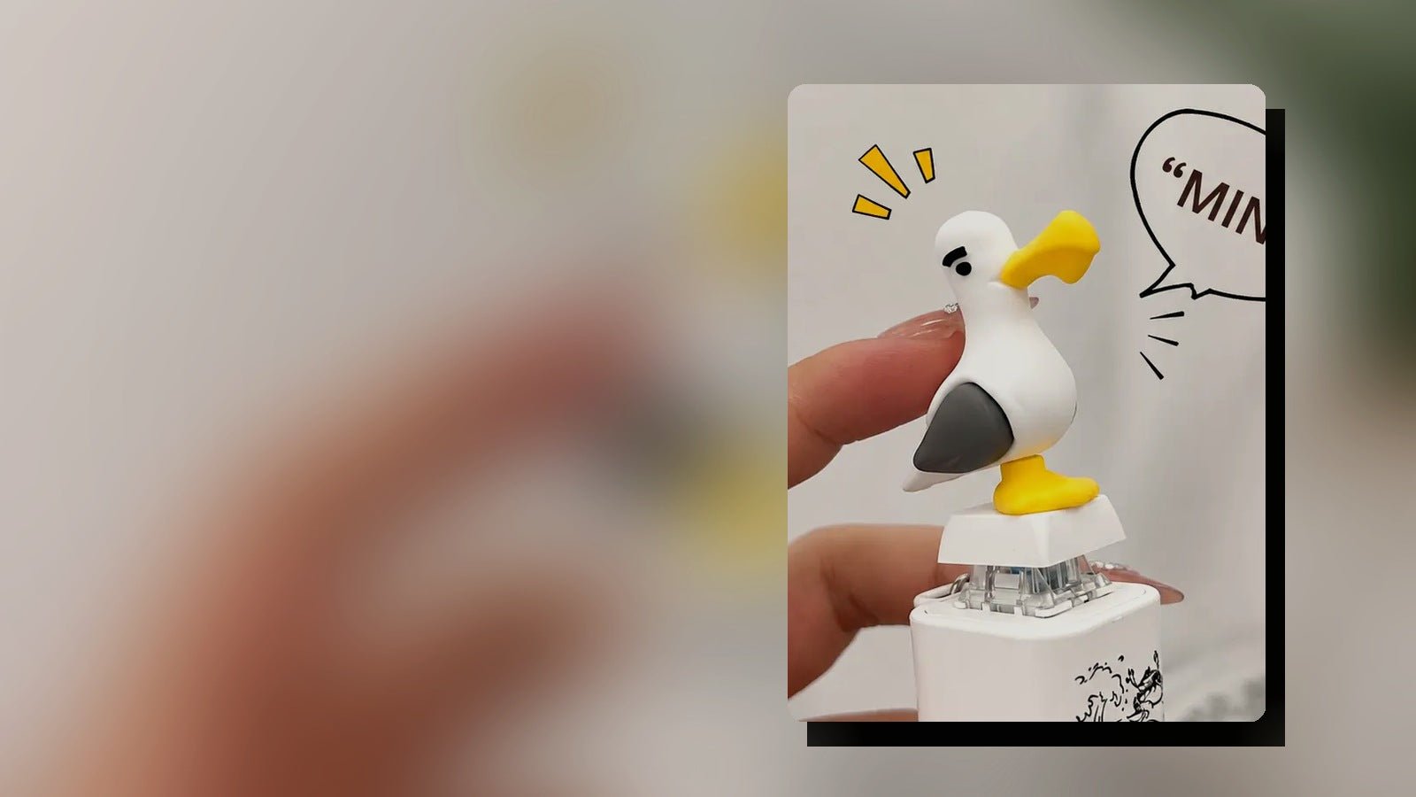 Mine seagull keychain hero photograph